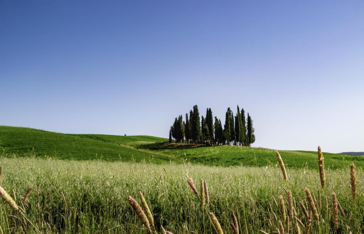 Hotel Corsignano Pienza Esterno foto